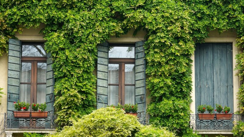 San Diego Shutters: Elevate Your Space with Stylish Custom Solutions