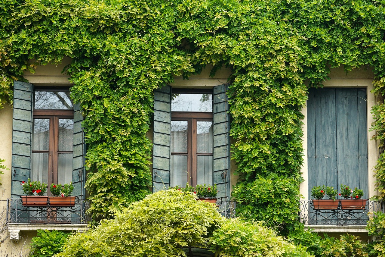 San Diego Shutters: A Comprehensive Guide to Color Selection for Your Home Exterior