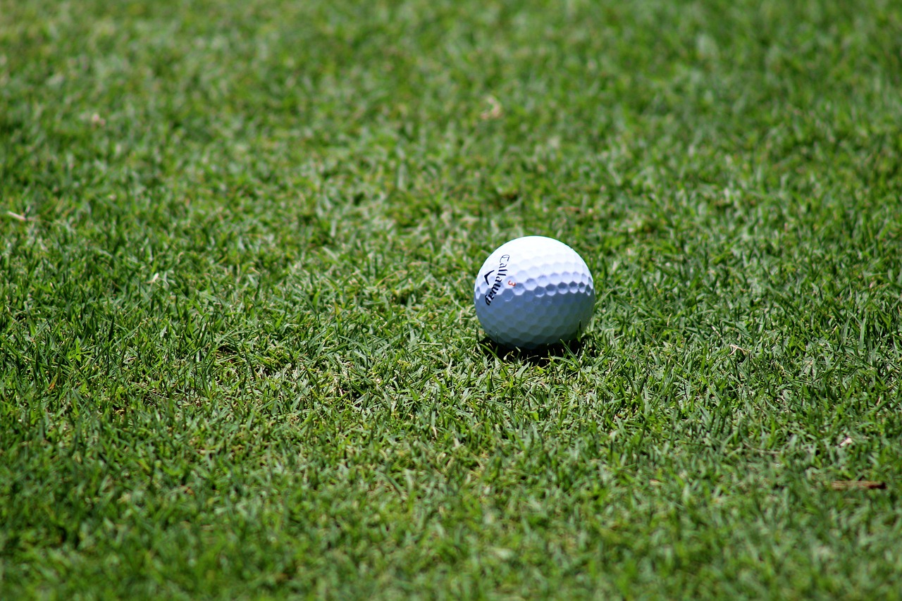 Seasonal Sports Turf Maintenance: A Comprehensive Guide for Schools, Clubs, and Facilities