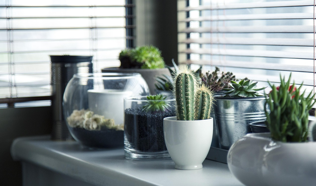 San Diego Shutters: Del Mar Installation, Premium Treatments, Expert Tips